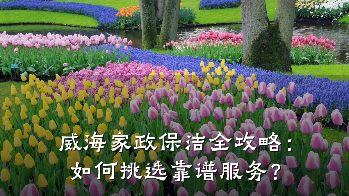 威海家政保洁全攻略：如何挑选靠谱服务？