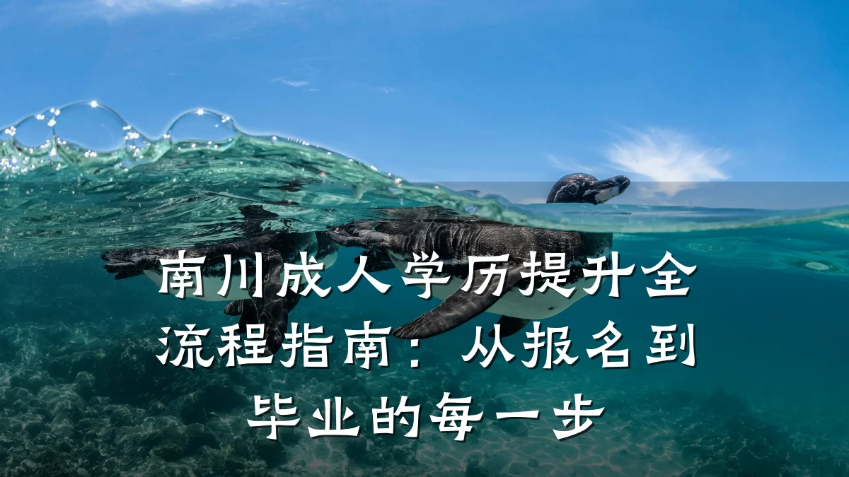 南川成人学历提升全流程指南:从报名到毕业的每一步