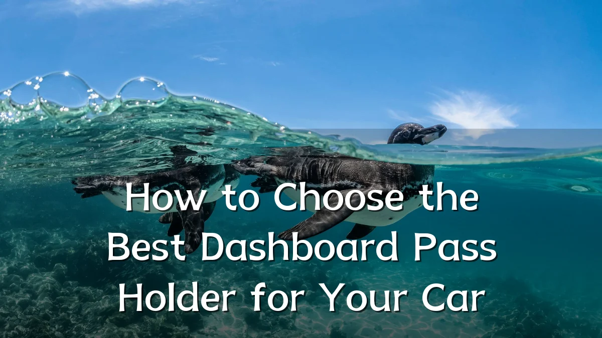 How to Choose the Best Dashboard Pass Holder for Your Car