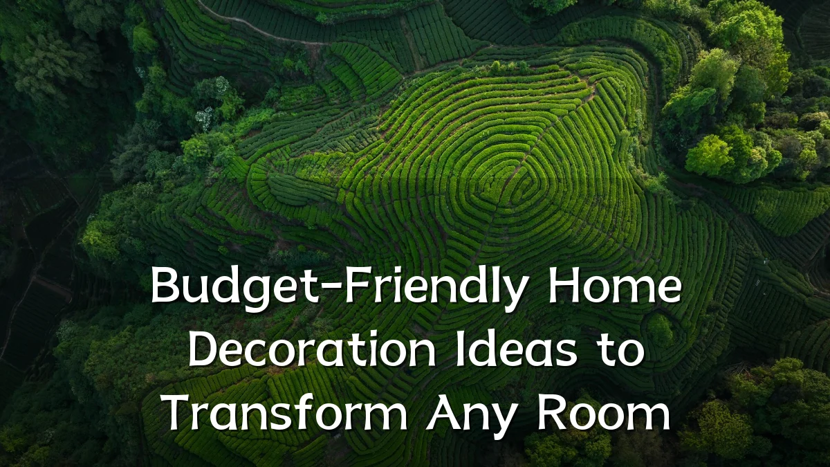 Budget-Friendly Home Decoration Ideas to Transform Any Room