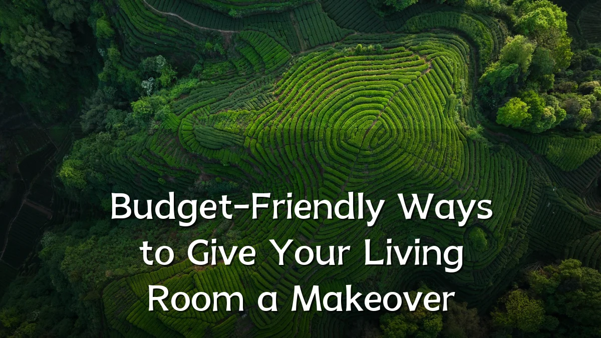 Budget-Friendly Ways to Give Your Living Room a Makeover