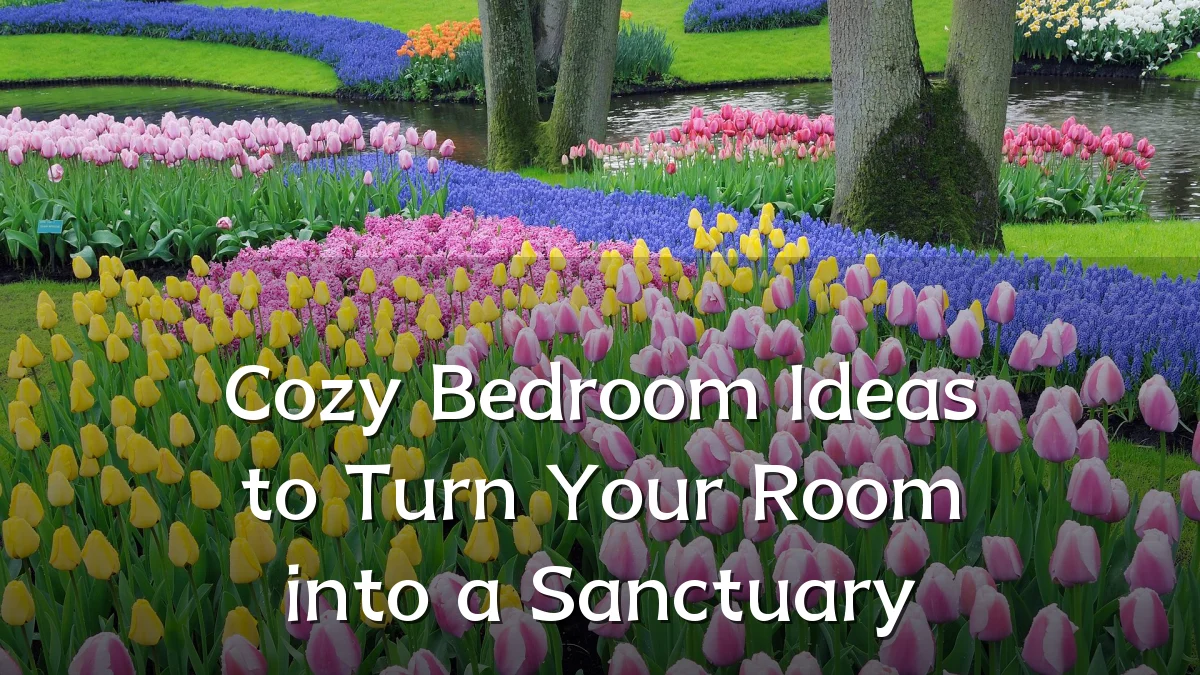 Cozy Bedroom Ideas to Turn Your Room into a Sanctuary