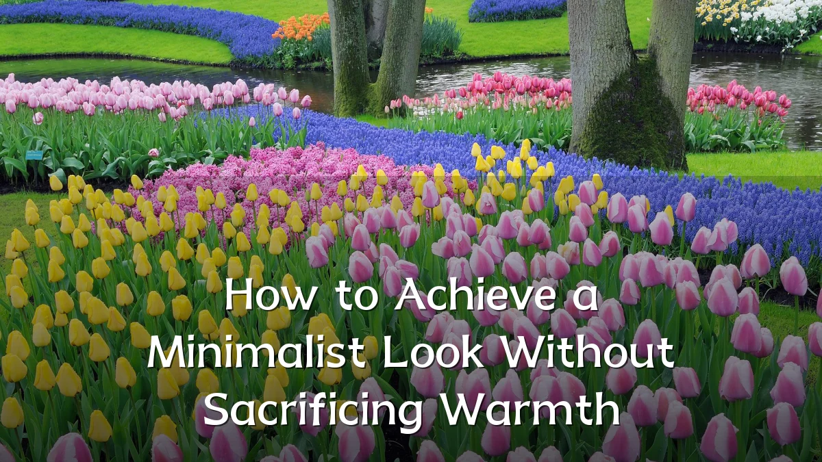 How to Achieve a Minimalist Look Without Sacrificing Warmth