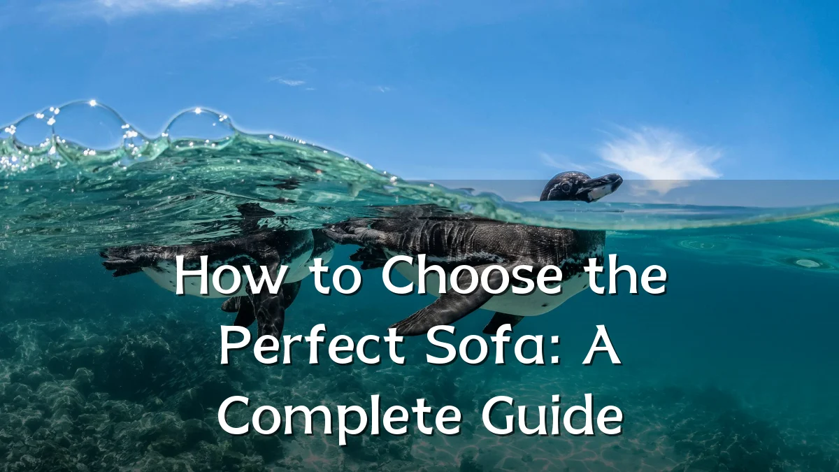 How to Choose the Perfect Sofa: A Complete Guide