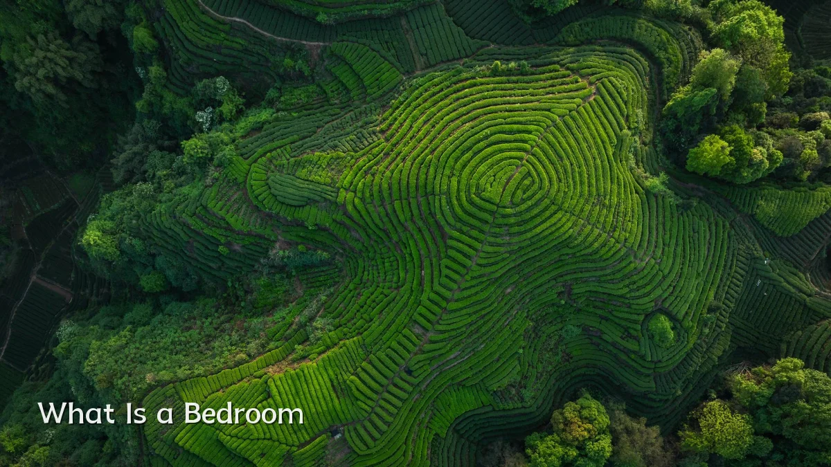What Is a Bedroom