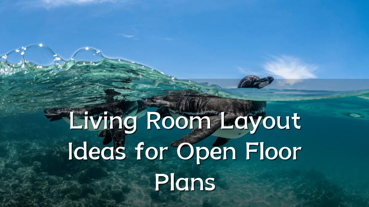 Living Room Layout Ideas for Open Floor Plans