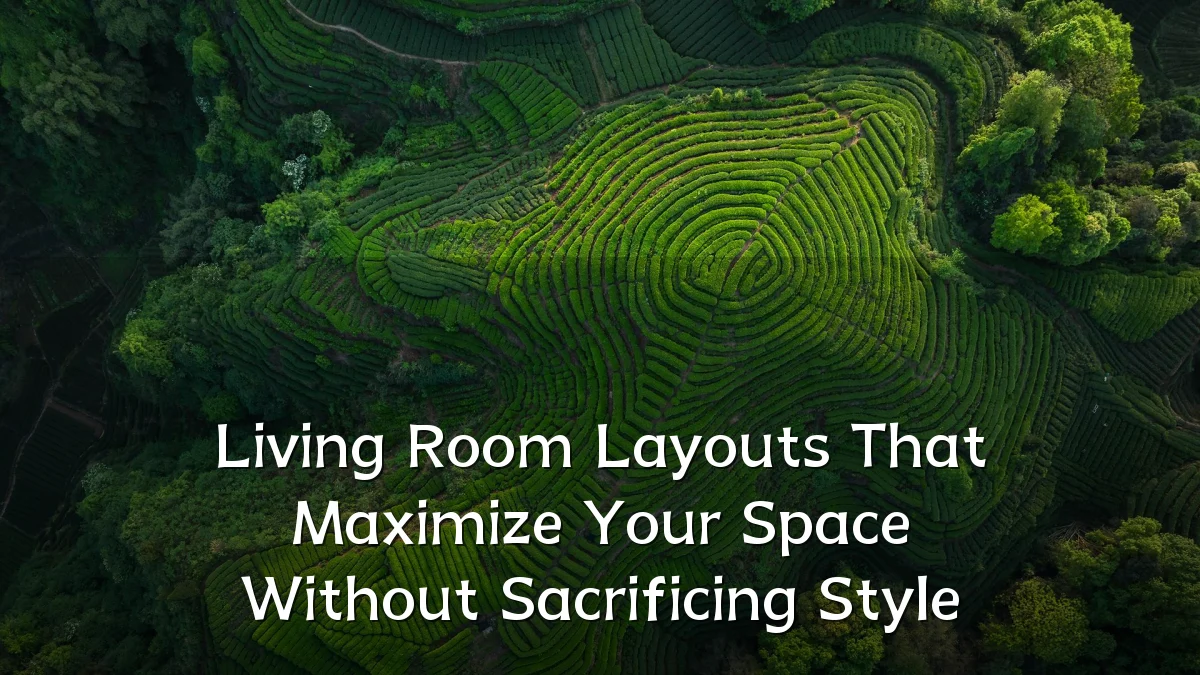 Living Room Layouts That Maximize Your Space Without Sacrificing Style