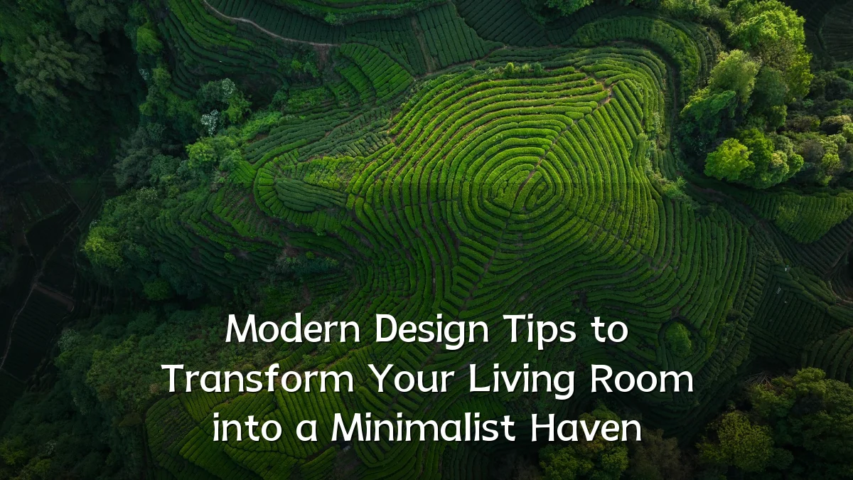 Modern Design Tips to Transform Your Living Room into a Minimalist Haven