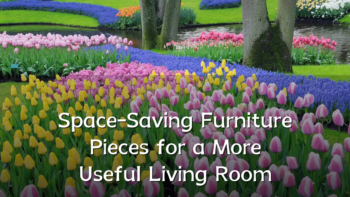 Space-Saving Furniture Pieces for a More Useful Living Room