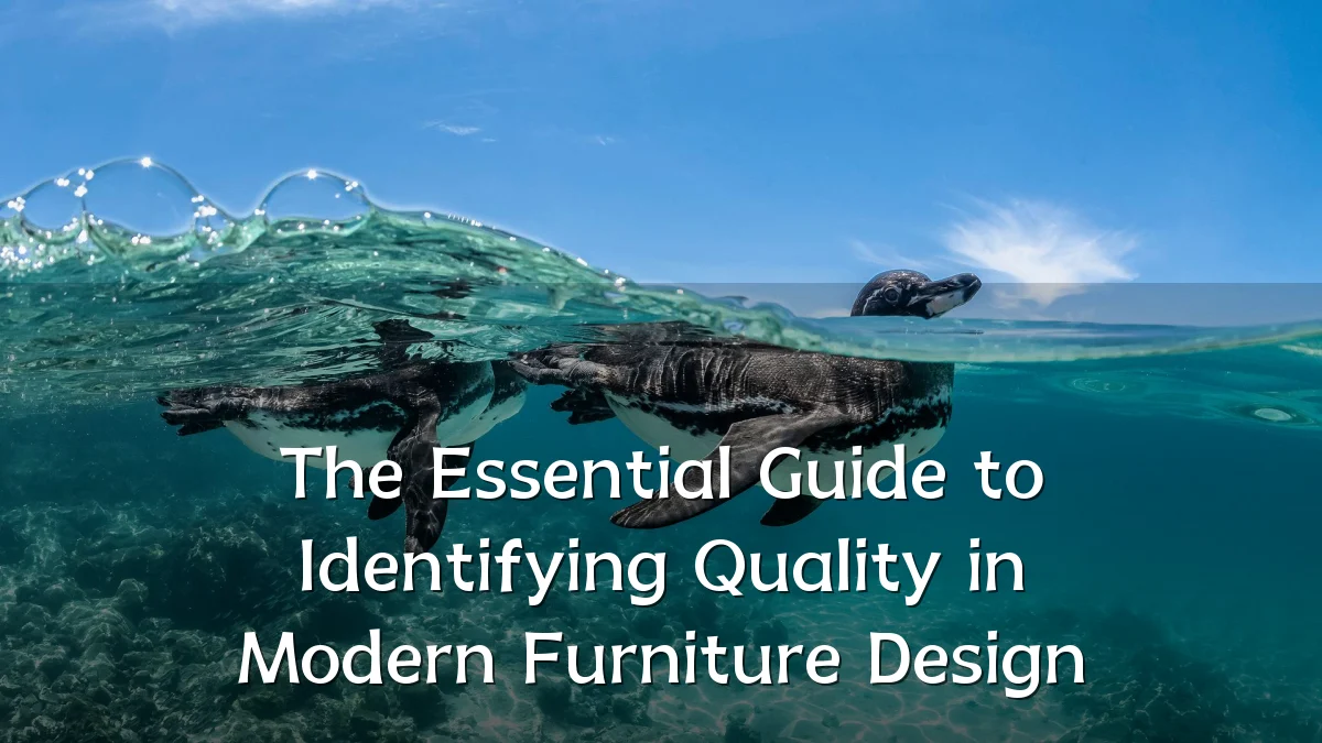The Essential Guide to Identifying Quality in Modern Furniture Design