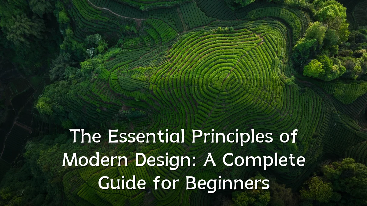 The Essential Principles of Modern Design: A Complete Guide for Beginners