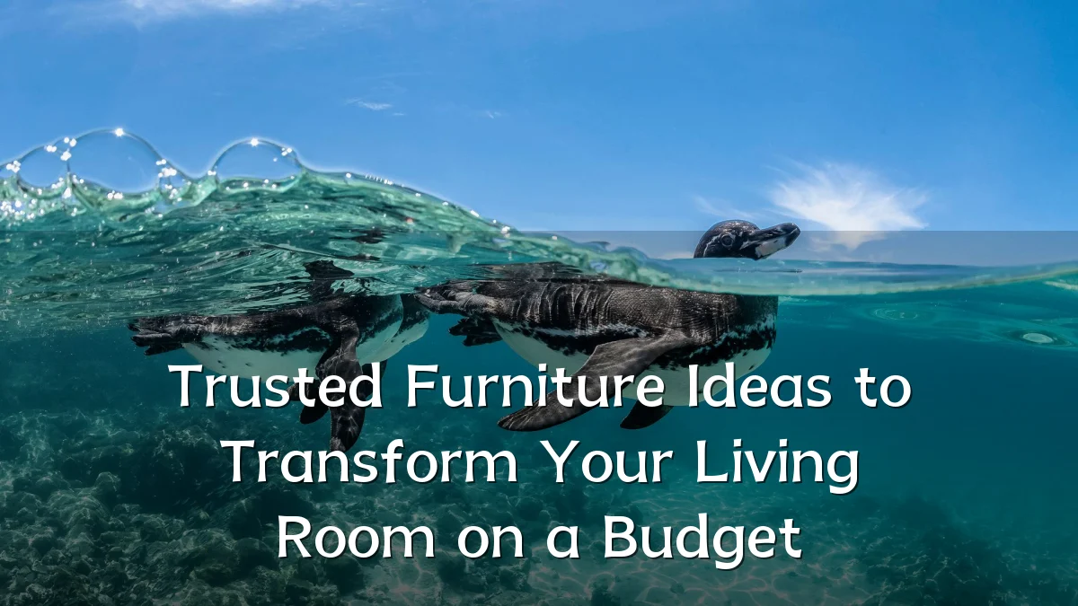 Trusted Furniture Ideas to Transform Your Living Room on a Budget