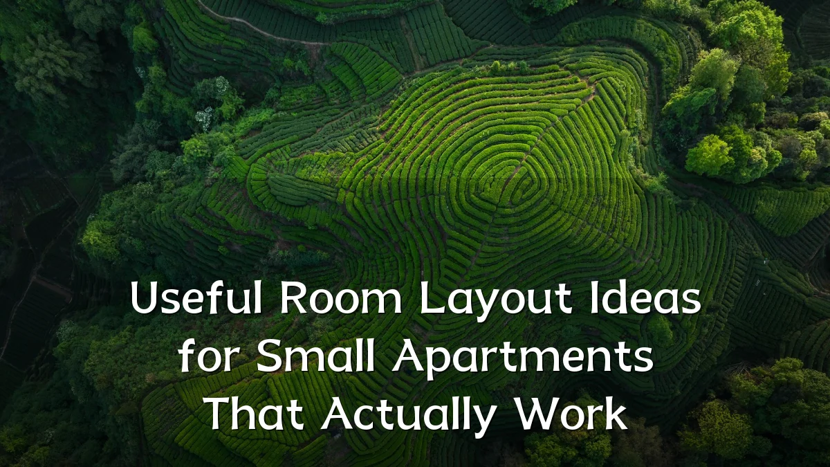 Useful Room Layout Ideas for Small Apartments That Actually Work