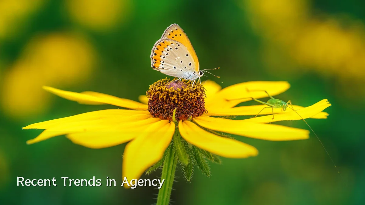 Recent Trends in Agency