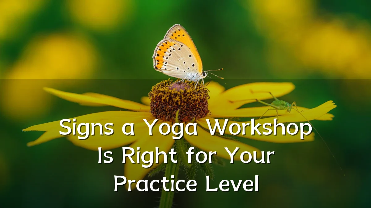 Signs a Yoga Workshop Is Right for Your Practice Level
