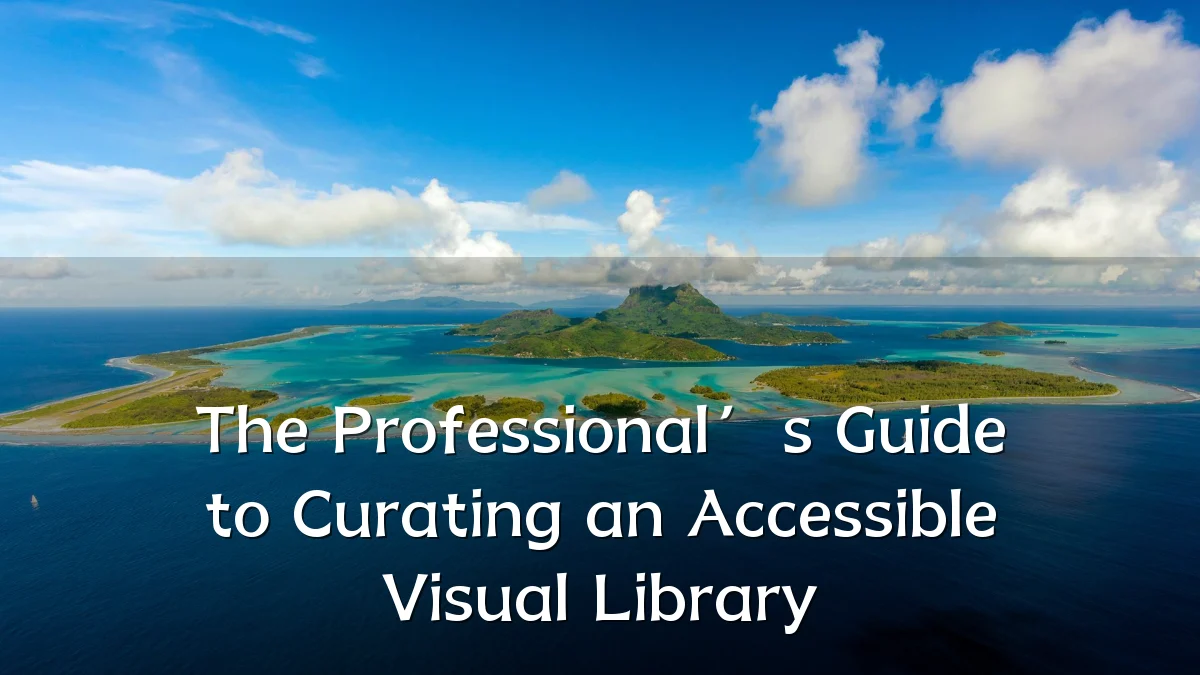 The Professional’s Guide to Curating an Accessible Visual Library