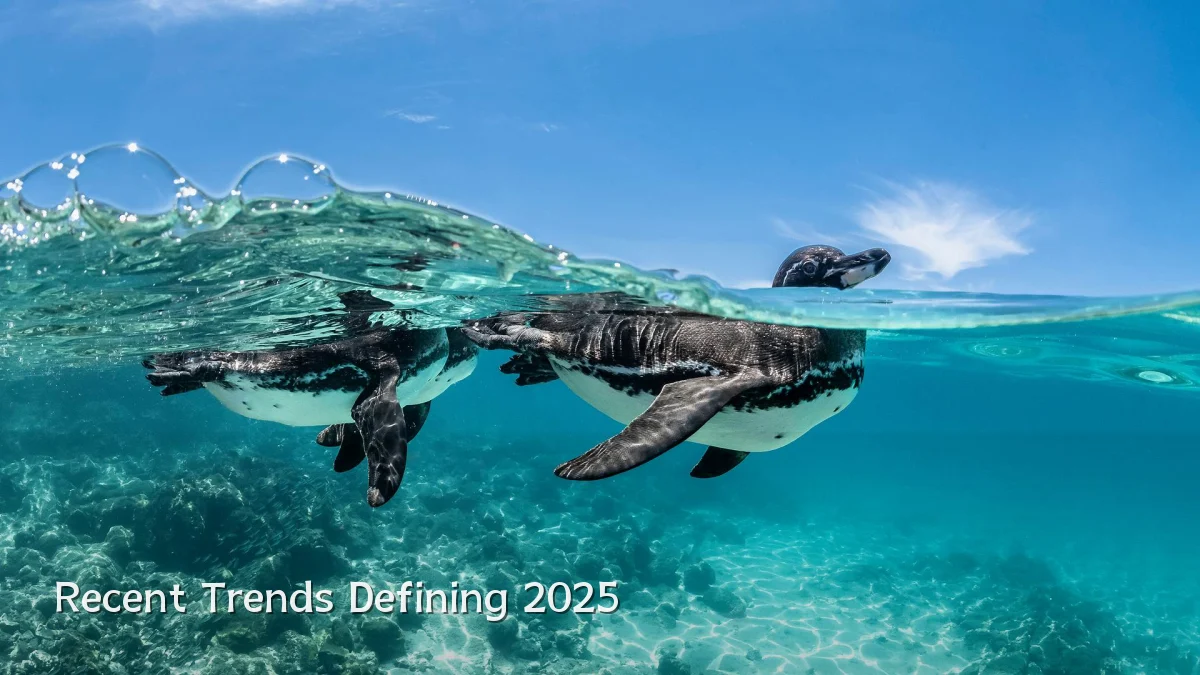 Recent Trends Defining 2025