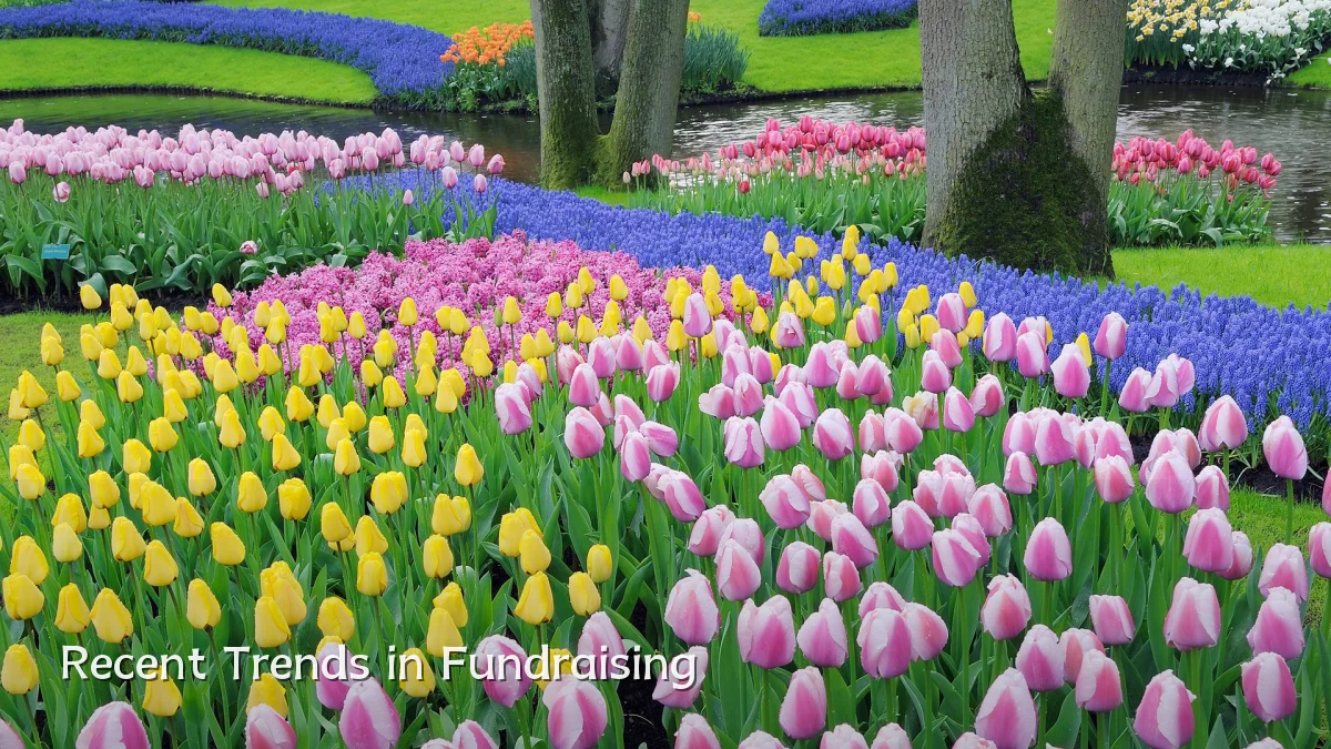 Recent Trends in Fundraising