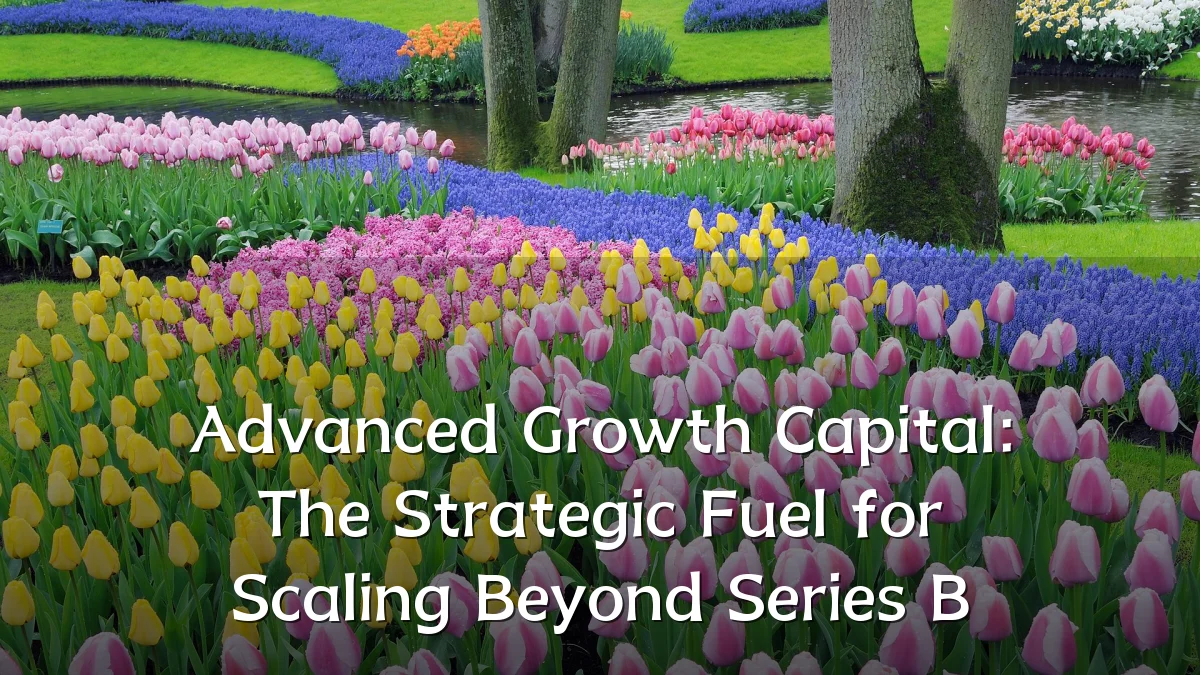 Advanced Growth Capital: The Strategic Fuel for Scaling Beyond Series B