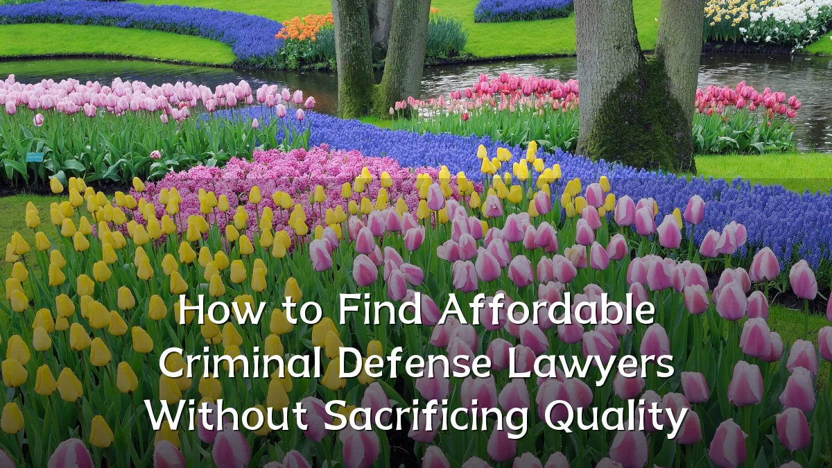 How to Find Affordable Criminal Defense Lawyers Without Sacrificing Quality