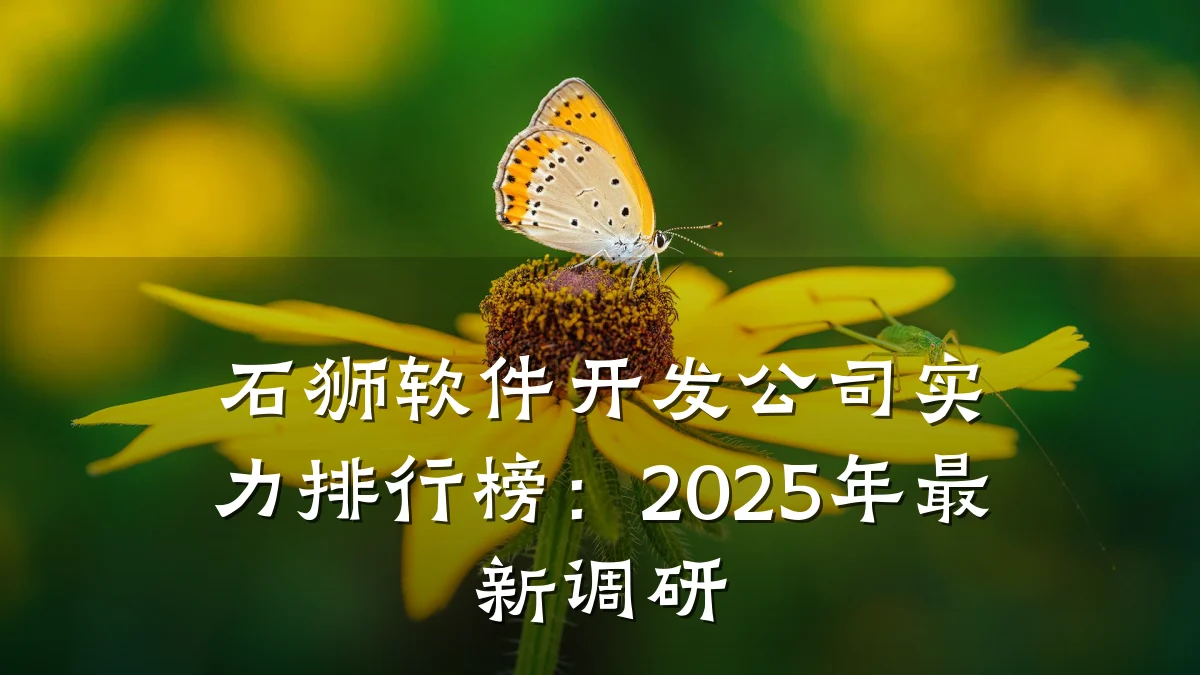 石狮软件开发公司实力排行榜:2025年最新调研
