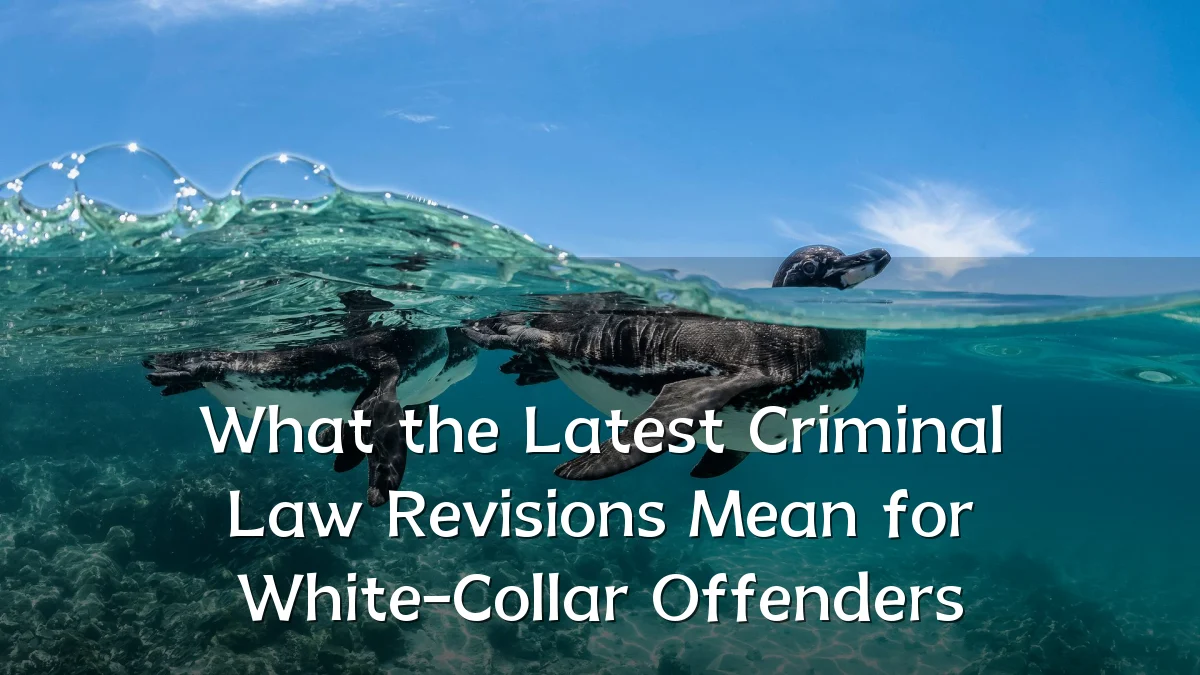 What the Latest Criminal Law Revisions Mean for White-Collar Offenders