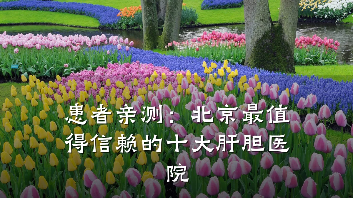 患者亲测:北京最值得信赖的十大肝胆医院
