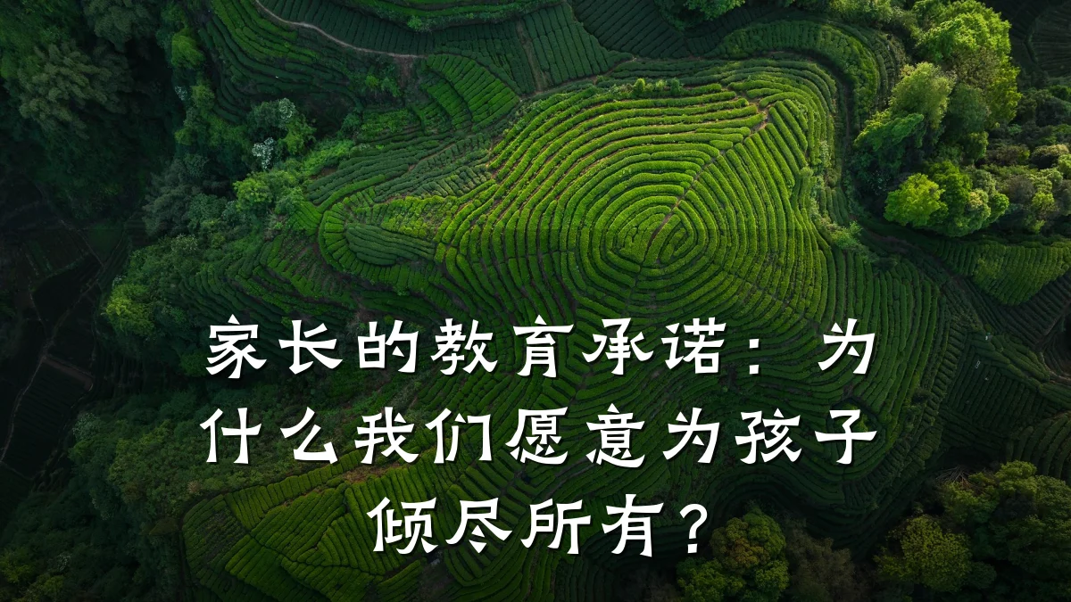 家长的教育承诺：为什么我们愿意为孩子倾尽所有？
